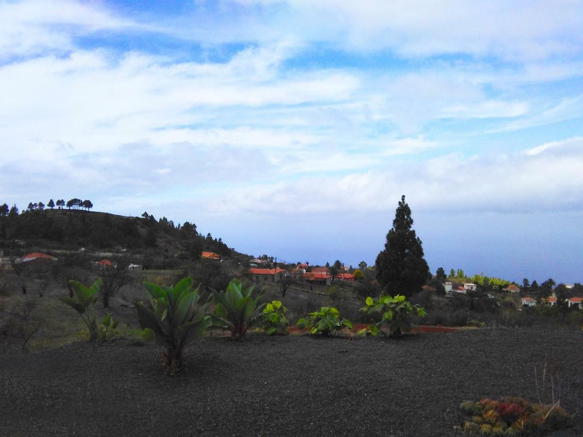 Villa Horizonte ปุนตากอร์ดา ภายนอก รูปภาพ